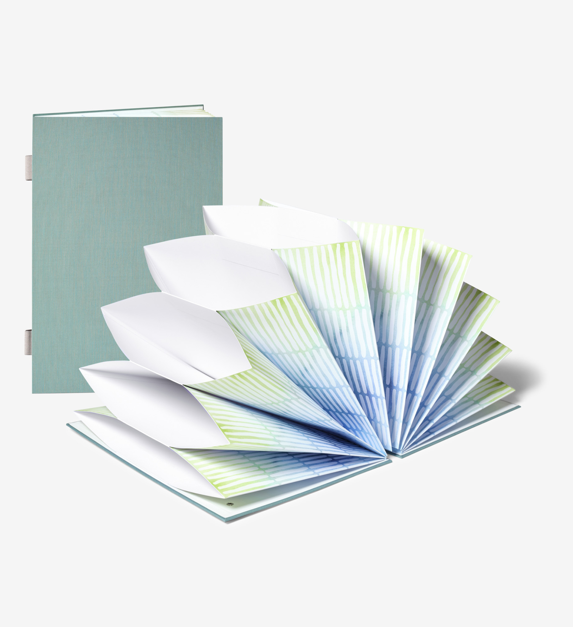 closed and open sage outside and colorful inside fan folios.