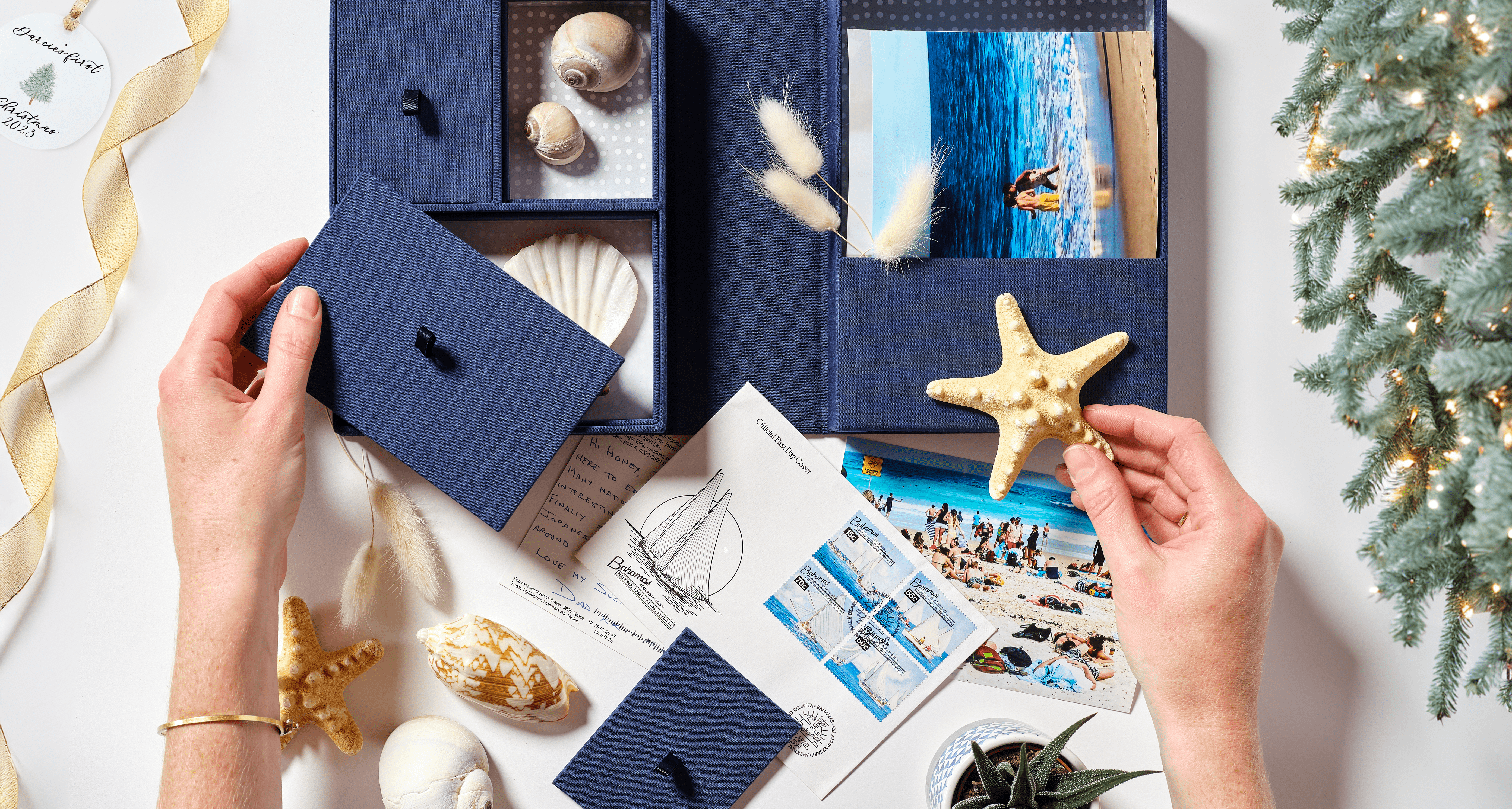 Hands holding sea objects over a blue organization box.