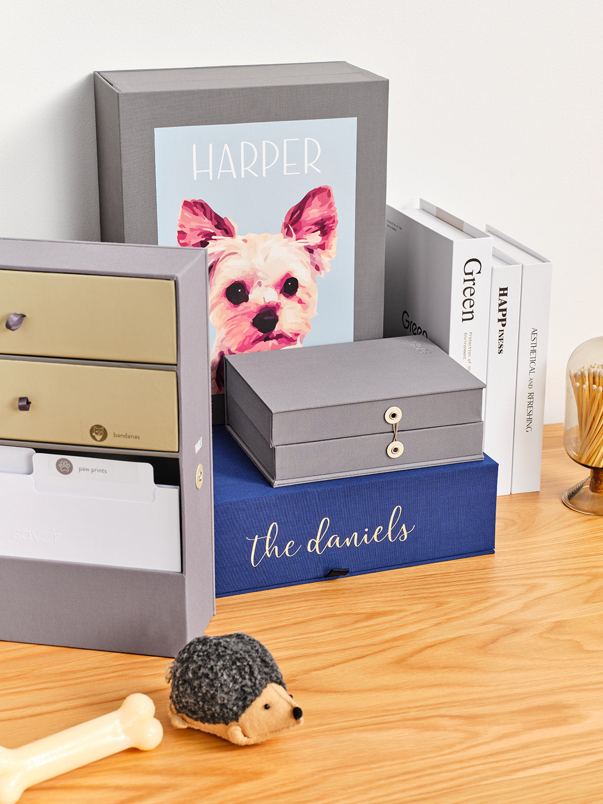 Grey and blue organization boxes with a dog picture on a table decorated with dog toys.