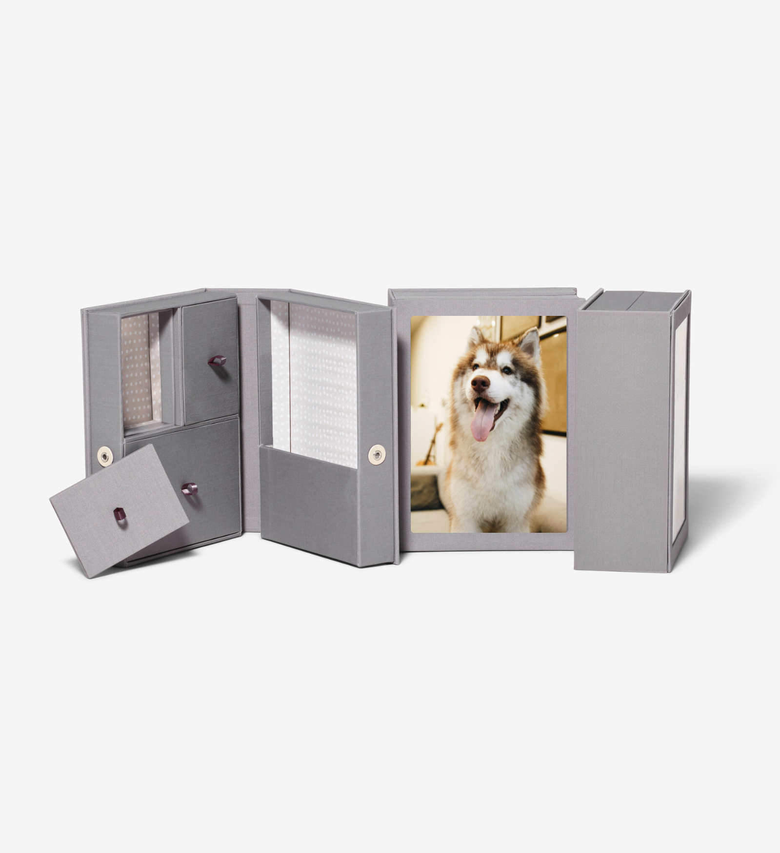 Pet Story Box: Frame & Keepsake in One