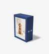 closed something blue story box with a pet picture