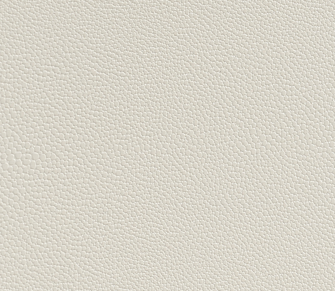 Close up on shagreen ivory texture