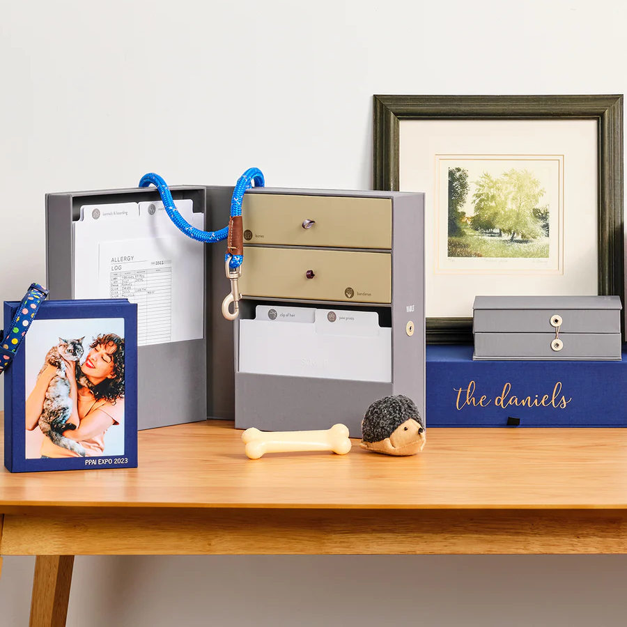 Blue and gray organization boxes set with documentation, decorated with a picture of a woman with her cat and pet toys.